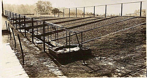 1933 Erosion Plots