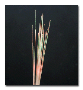 Glass Fibers 2
