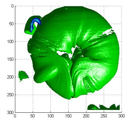 RingVortexTopView