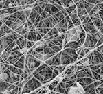 Nanofibrous structure with nanoparticles
