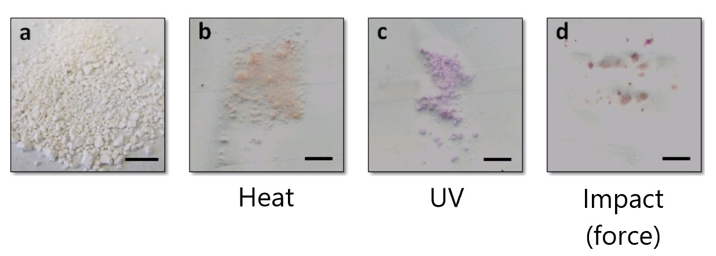 SP-Linked Nanoparticles