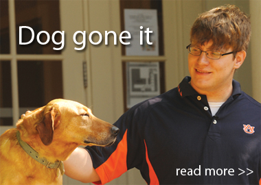 dog-gone-it.jpg
