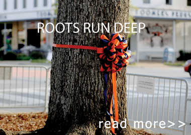 roots-run-deep.jpg