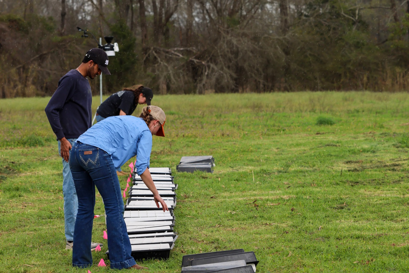 Students conducting field research