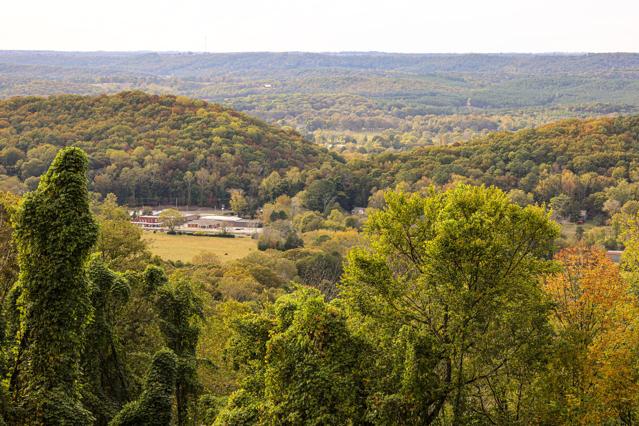 Forested rural landscape.