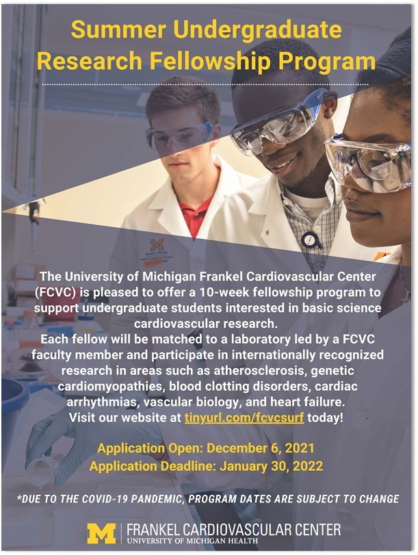 Research fellowship announcement flyer
