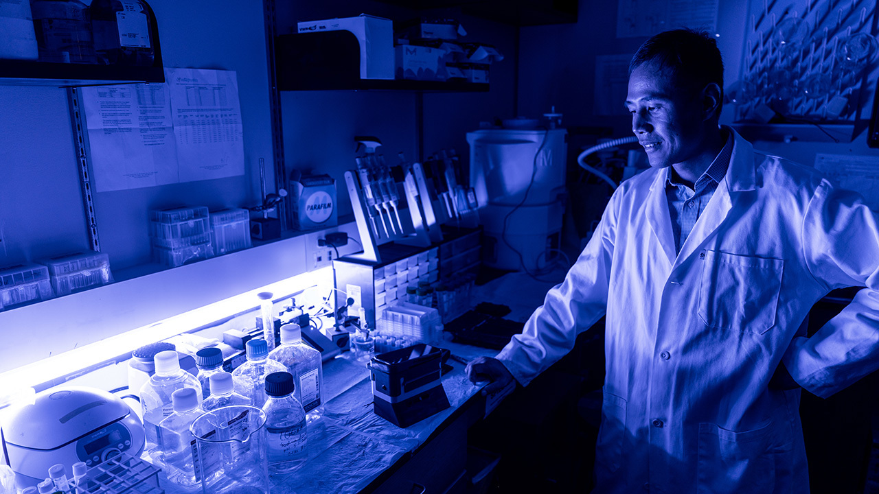 A woman smiles while shaking hands with a student in a green shirt at a career fair event, with colorful balloon decorations and people working in the background.