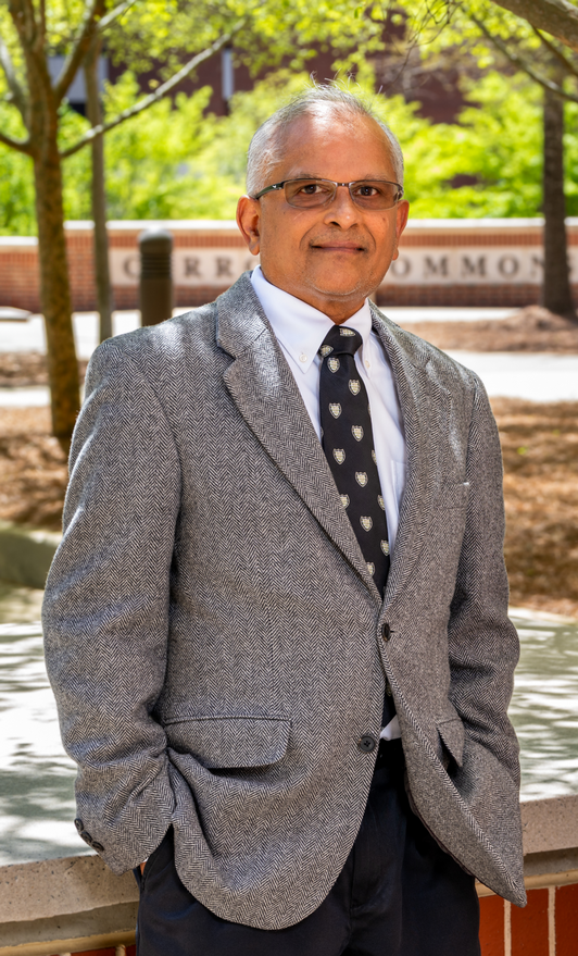 department chair, hari narayanan