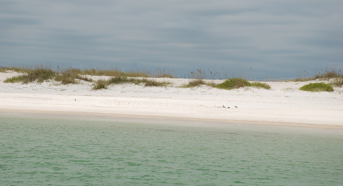 Shoreline