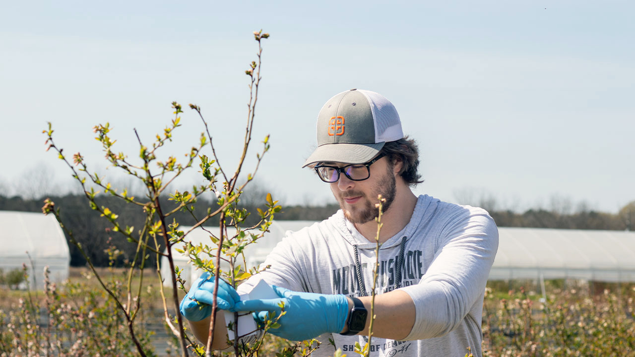 man in hat working outside with a plant 