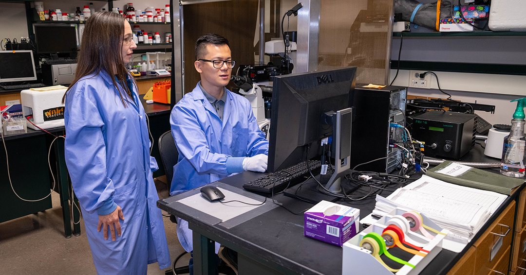 Elizabeth Lipke, left, the Uthlaut Endowed Professor in the Department of Chemical Engineering, and Yuan Tian, who earned a doctorate in chemical engineering from Auburn in 2020, co-founded VivoSphere.