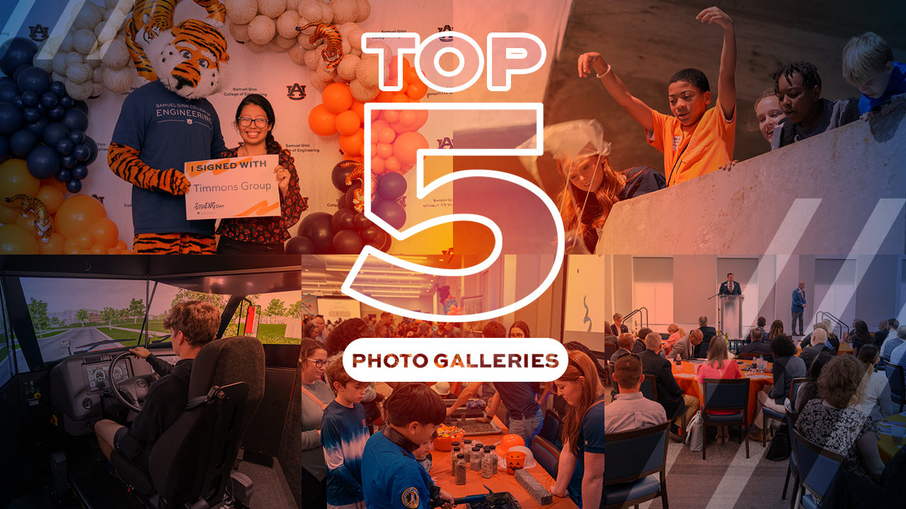 Presenting the top five photo galleries from 2025.