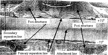 Bluff Body