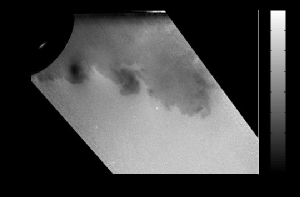 Examples of planar density measurements obtained using the acetone PLIF technique