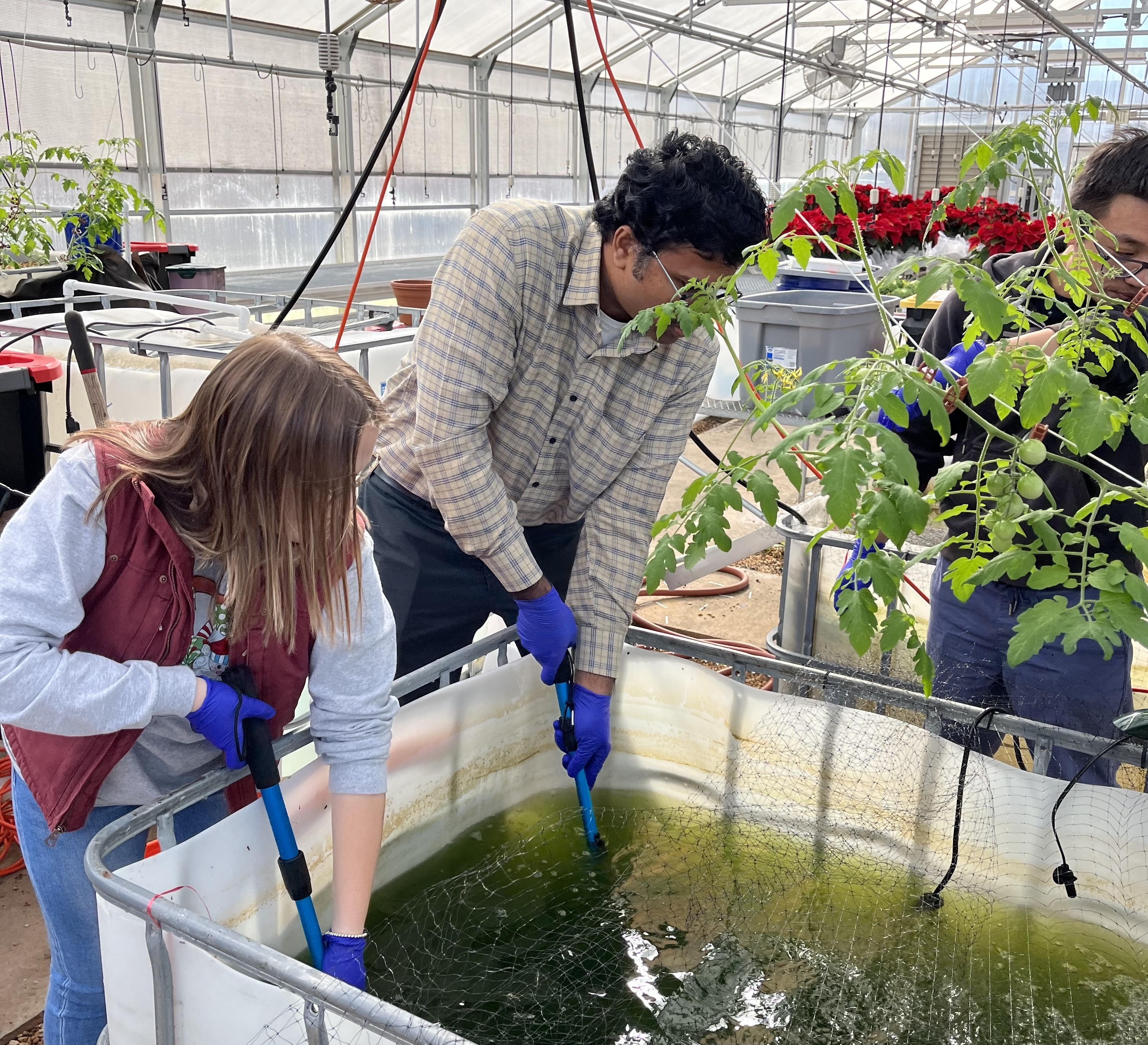 Aquaponics