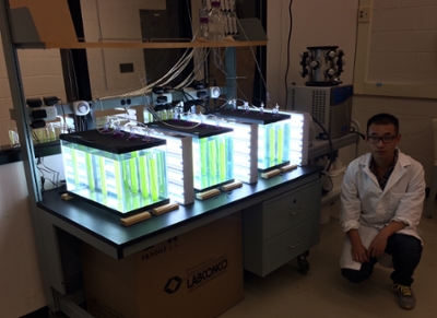 kaiyan bioreactor system