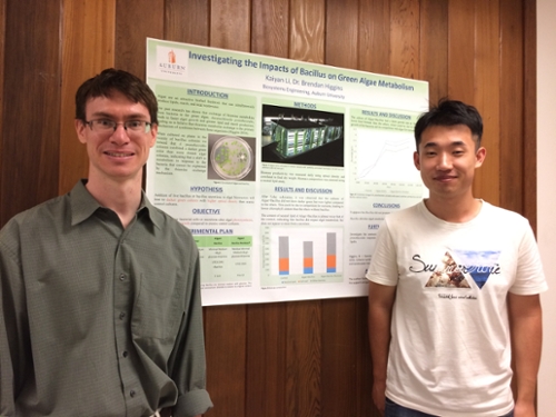 Kaiyan poster