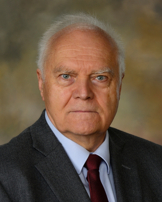 Headshot - Bogdan Wilamowski