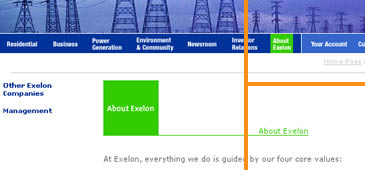 About Excelon