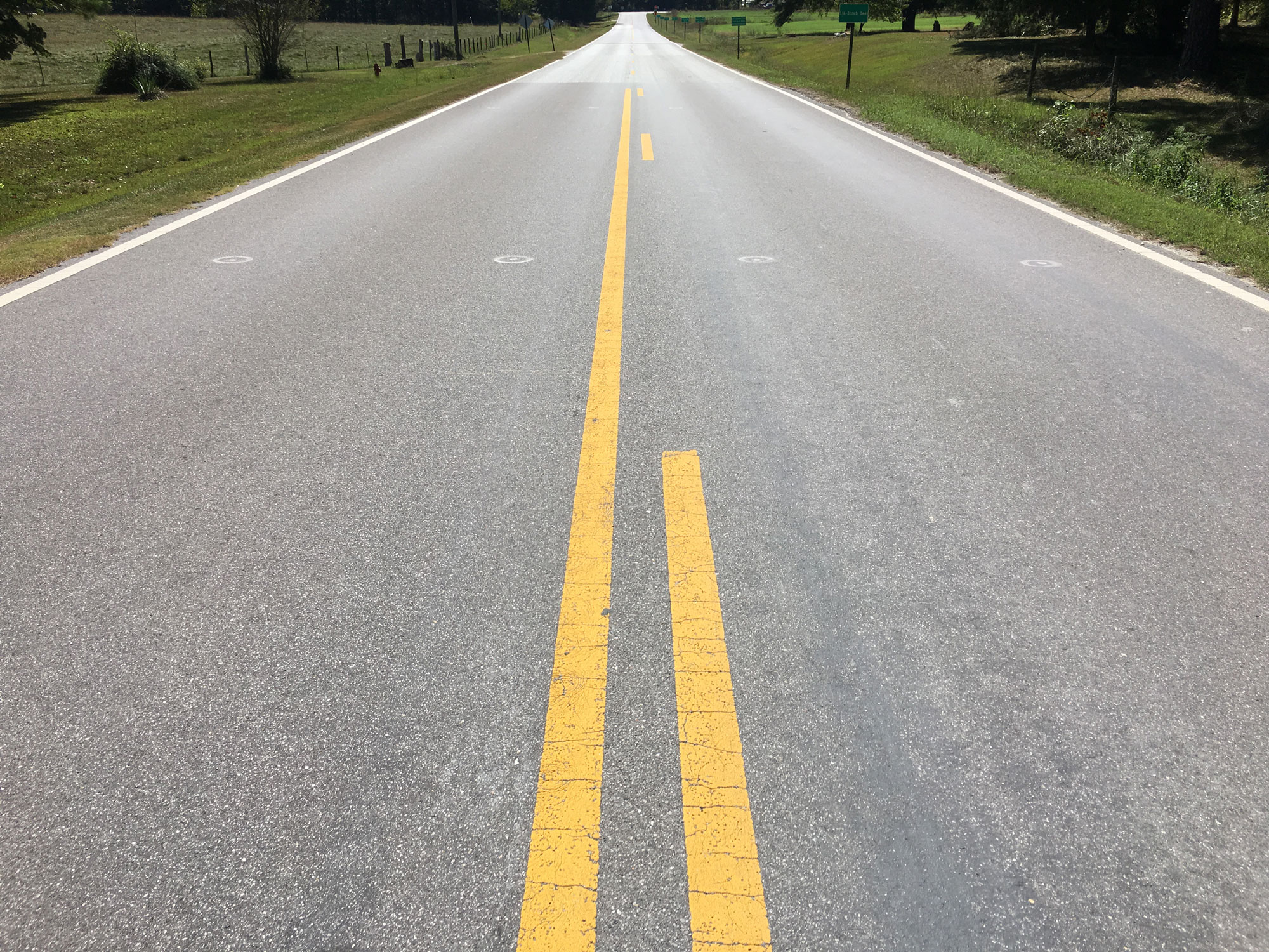 Overall condition of scrub cape seal on Lee Road 159.