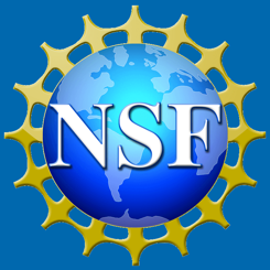Image result for NSF logo